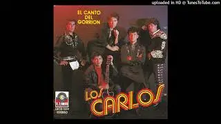 Los Carlos – Cumbia Banda