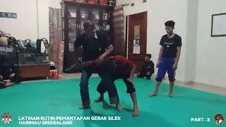 LATIHAN RUTIN @HarimauSinggalang  BERSAMA DEWAN GURU H.SYOFYAN NADAR - 2