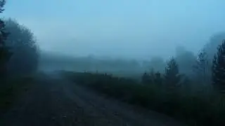 Туманное утро Перебор Маслянино НСО