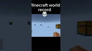 Minecraft world record 💀 