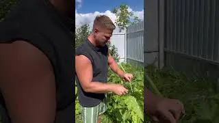 А вы знали что так можно было сделать ?😀