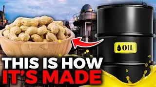 SHOCKING FACTS About These Foods: Knowing How it’s MADE (PART 2)