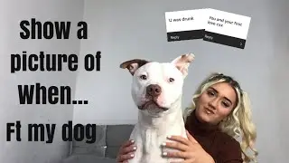 SHOW ME A PHOTO OF FT MY DOG (IT GOT DEEP)