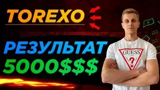 TOREXO FINANCE: ЗАРАБОТАЛ 5000$$$/НЕДЕЛЮ🔥💪☝️