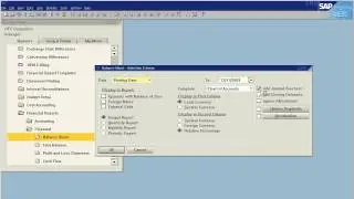 SAP Business One - How To - Journal Vouchers