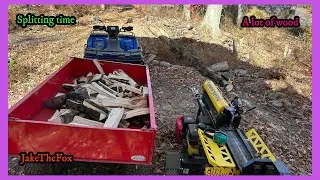 Time To Split Some Of The Wood That Came From The Tall Tree!