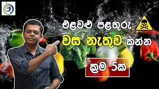 කෑමට කලින් එළවලු සහ පලතුරු වල වස විස මේ විදිහට අයින්කරමු | Remove Poison From Vegetables And Fruits.
