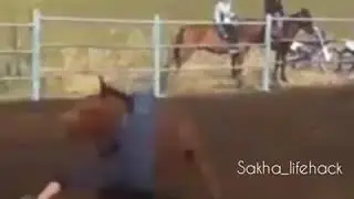 Кыахтаах уол, иннин ылла👍 Атыыр инньин ылар бэтэрээнэн дьыала буотах.