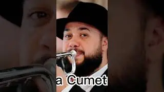 Sârba cumetrilor Frați Păun #nuntamoldova #arapradu #nunta #nunti