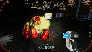 Why are rock punchers kind of cute in subnautica Below Zero?😊