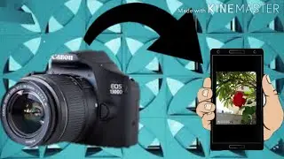 How To transfer photos from camera to mobile gallery |2 Methods to transfer photos| Samiran Pande|👍