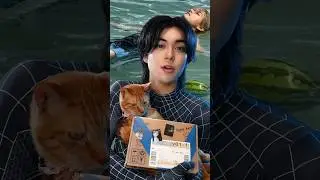 #shorts #cat #V #뷔  #V_Layover#SlowDancing #bts #army #btsv #btsarmy #taehyung