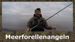 Meerforellenangeln, angeln auf Meerforelle an der Ostsee - Lübecker Bucht