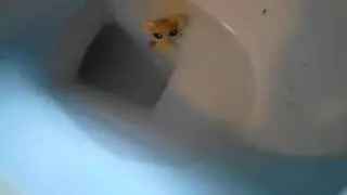 Poop 8