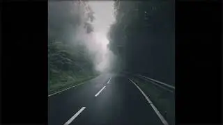 guardin - old roots