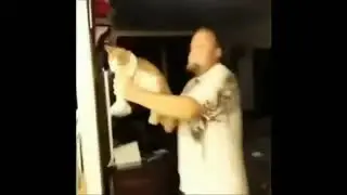 Смешные коты! Подписывайся на мой канал 😺