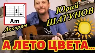 ЮРИЙ ШАТУНОВ - А ЛЕТО ЦВЕТА (ПРОСТАЯ ПЕСНЯ НА ГИТАРЕ) АККОРДЫ БЕЗ БАРРЭ (КАК  ИГРАТЬ) COVER 🎸