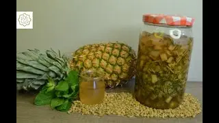 Bebida Probiótica de Abacaxi com Hortelã e Camomila - Chef Ana Lemgruber (2023)