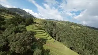 Rice Terrace field in North Vietnam. October 2024 (Motorbike Tour Expert)