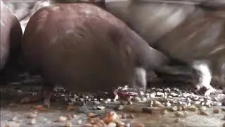 последний день сентября глубокая линька