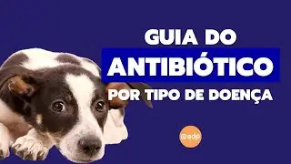 242 | Antibiótico para cachorro e gato com diarréia, alergia, giárdia, doença do carrapato, etc.