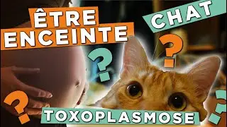 TOXOPLASMOSE et GROSSESSE : mon CHAT est-il un danger pour la FEMME ENCEINTE ?