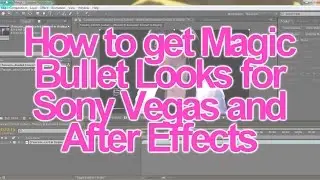 Magic Bullet Looks!