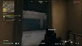 Call of Duty INSANE GUN!!!!