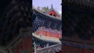 Explore the ancient mystique of Shaolin Temple and Chinese Kung Fu! #kungfu #chinatravel