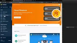 Building an iOS, Android, & Web App Using JavaScript/React/Ionic/Firebase (11/15: DATABASE SETUP)