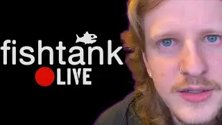 Why I should be on Fishtank Live (Audition tape)