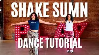 SHAKE SUMN DANCE TUTORIAL