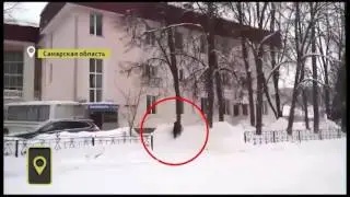Медведь забрёл в жилой двор города Жигулёвск