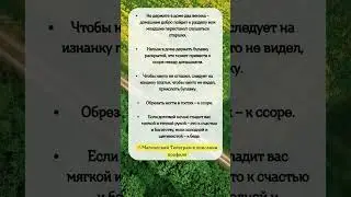 Приметы, которые не врут #shorts