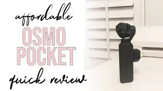 Small Video Camera - Osmo Pocket Under $300 #shorts