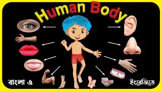 Parts Of Body Name | Parts of Body Name in English | Body Parts with Spellings | শরীরের অঙ্গ প্রতঙ্গ