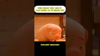 The Little Piglet Is Terrified...😰 #shorts