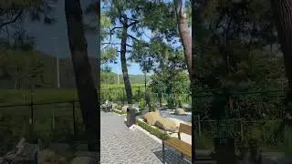 Такие дачи у моря можем строить!🌴🔥