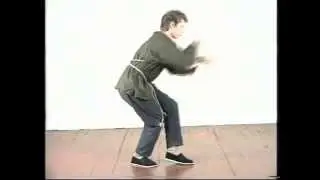 Техника Шоу Дао 20