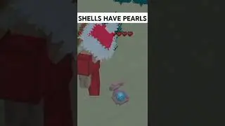 🐚 Shells Have Pearls! | @XREALM 🐼