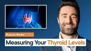 How To Interpret Your Thyroid Test Levels (TSH, Free T4, & More)