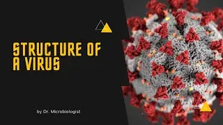 Structure of a Virus|#Easy #explanation
