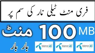Telenor Free Minutes 100 MB 100 Minutes