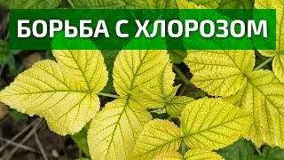 «БОГАТЫЙ-МИКРО» - применение микроудобрений