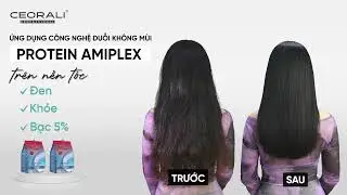 ỨNG DỤNG CÔNG NGHỆ DUỖI KHÔNG MÙI PROTEIN AMIPLEX TRÊN NỀN TÓC ĐEN – KHỎE – BẠC 5%