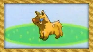Random Shiny Poochyena! (Pokémon Ruby)