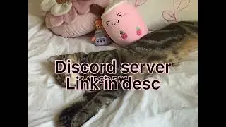 Join my discord server :)