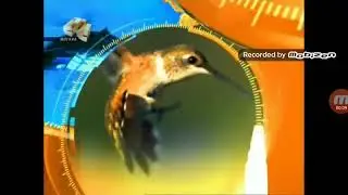 История заставок 