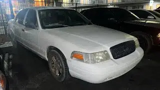Making Autumn’s crown Vic louder! And random proximity challenge to see who can get the closest!