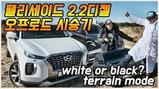 팰리세이드 오프로드 시승기, 디젤의 아쉬움 그리고 색상결정 장애